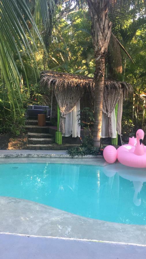 Lodge La Tropicale Samara