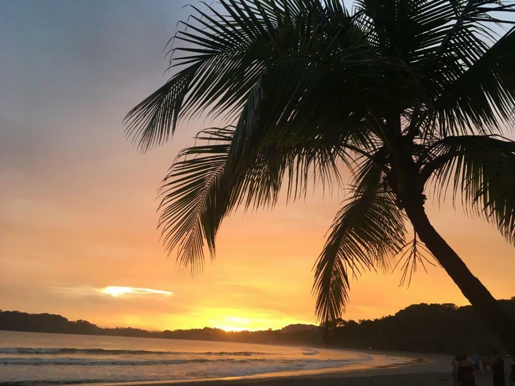 La Tropicale *