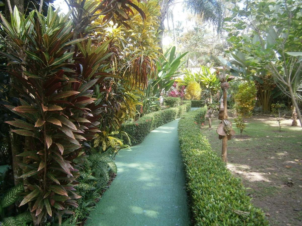 La Palapa