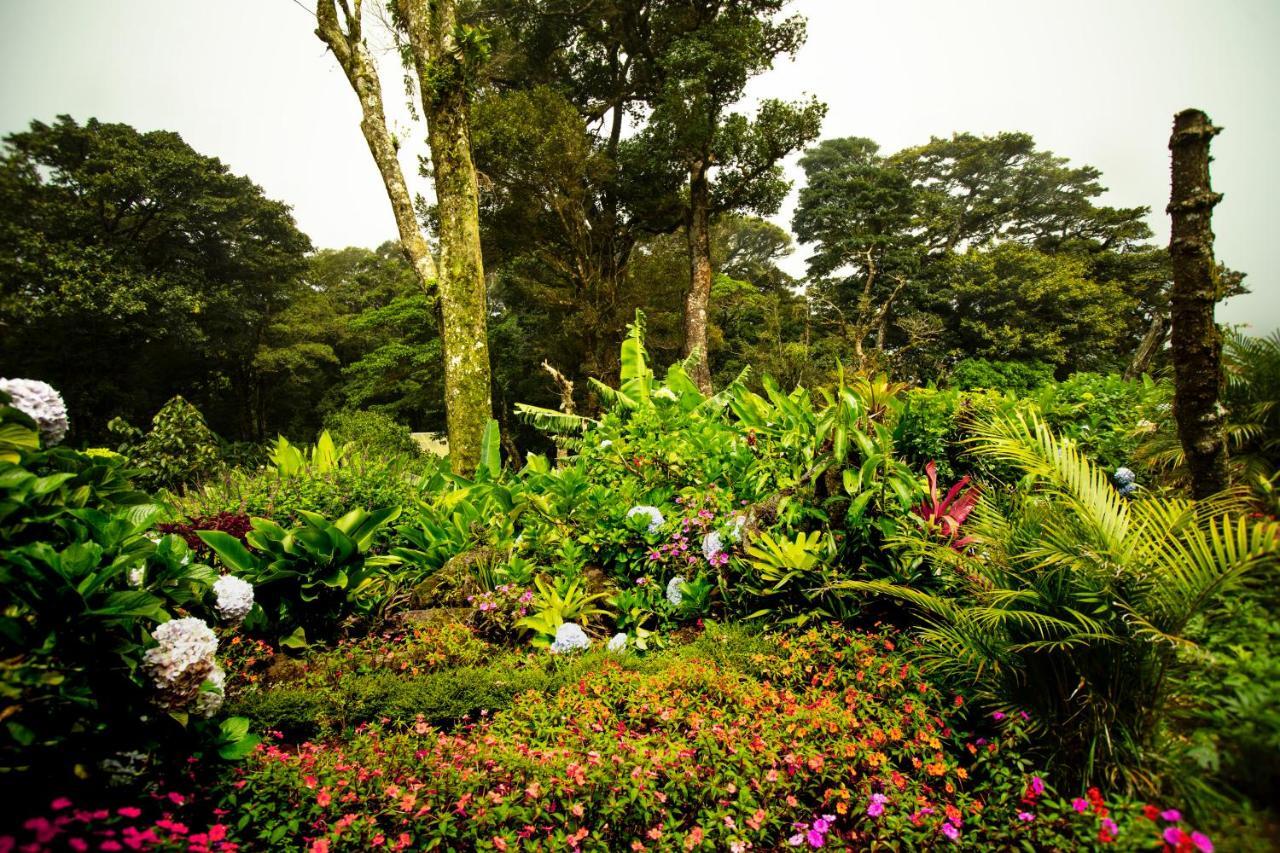 Trapp Family 3* Monteverde