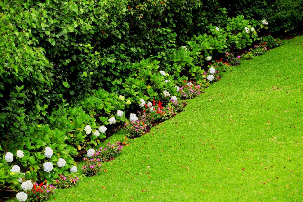 Trapp Family 3* Monteverde