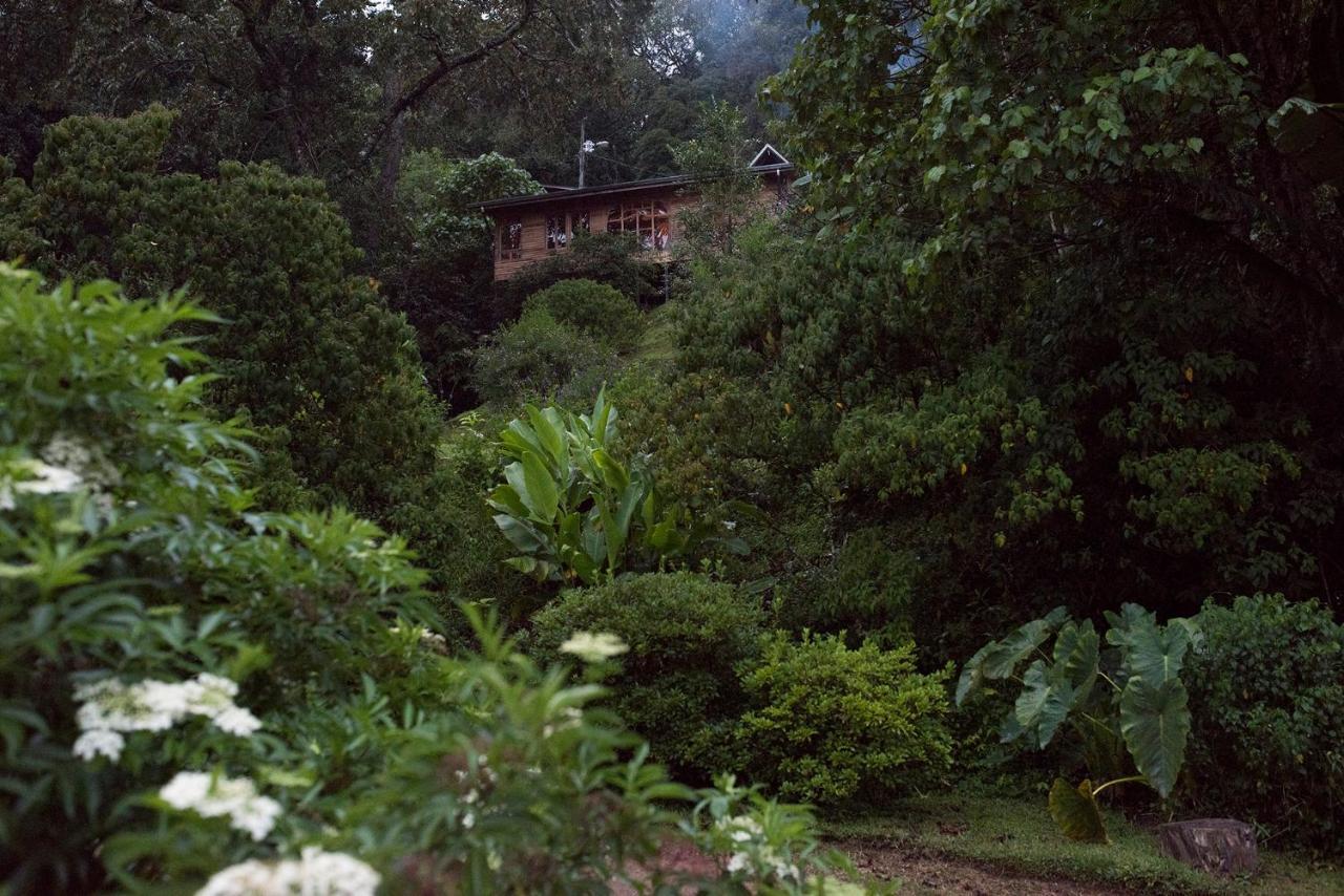 Cedrela Eco-lodge & Restaurante