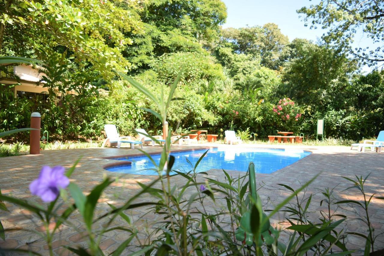 Hotel Ara Ambigua Sarapiqui