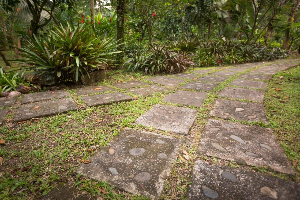 Hotel El Nido Jungle