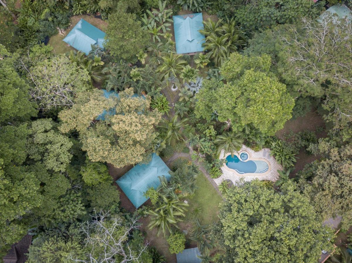 El Nido Jungle Hotel Puerto Viejo de Talamanca