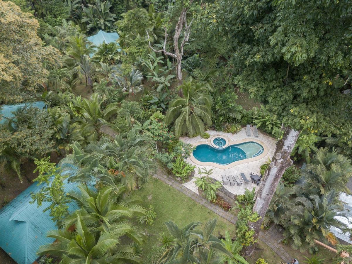 El Nido Jungle Hotel Puerto Viejo de Talamanca