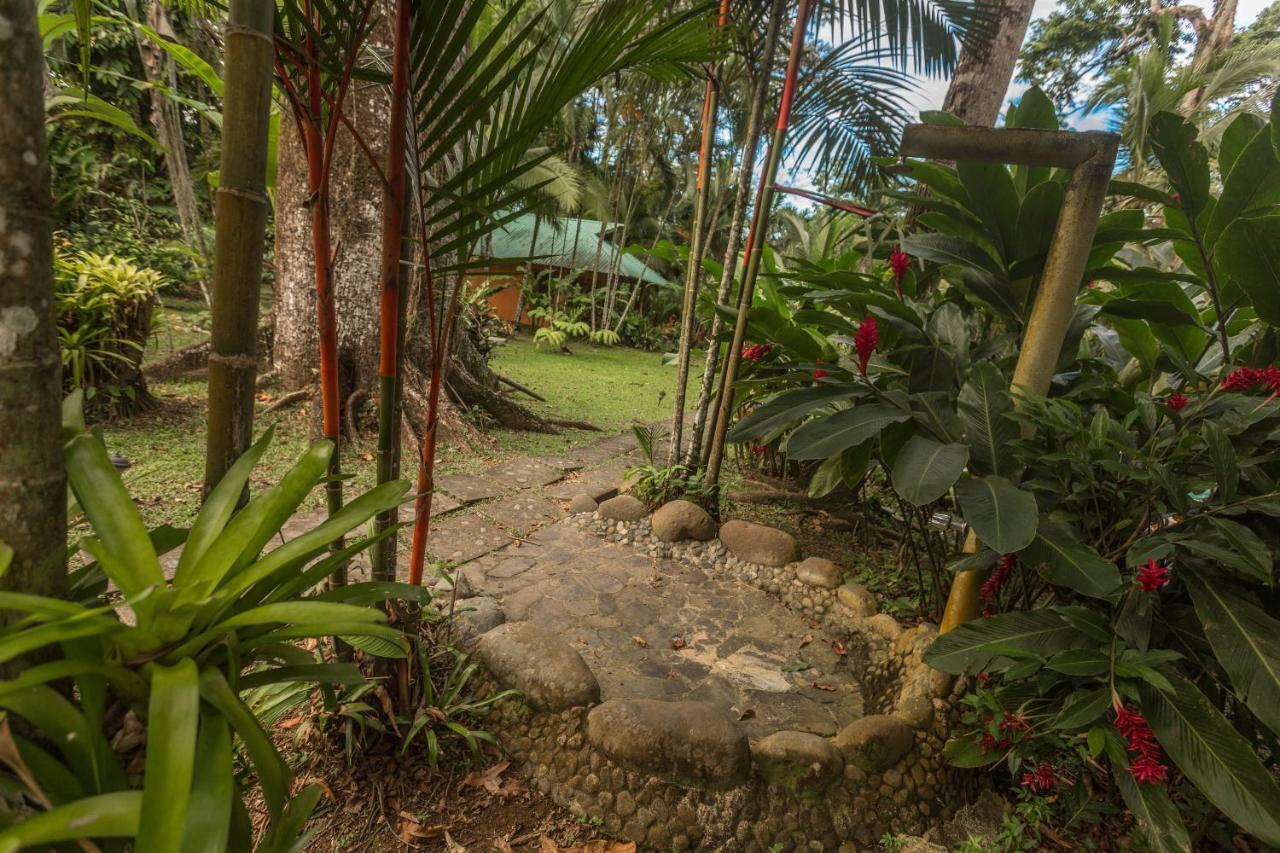 Hotel El Nido Jungle 3*