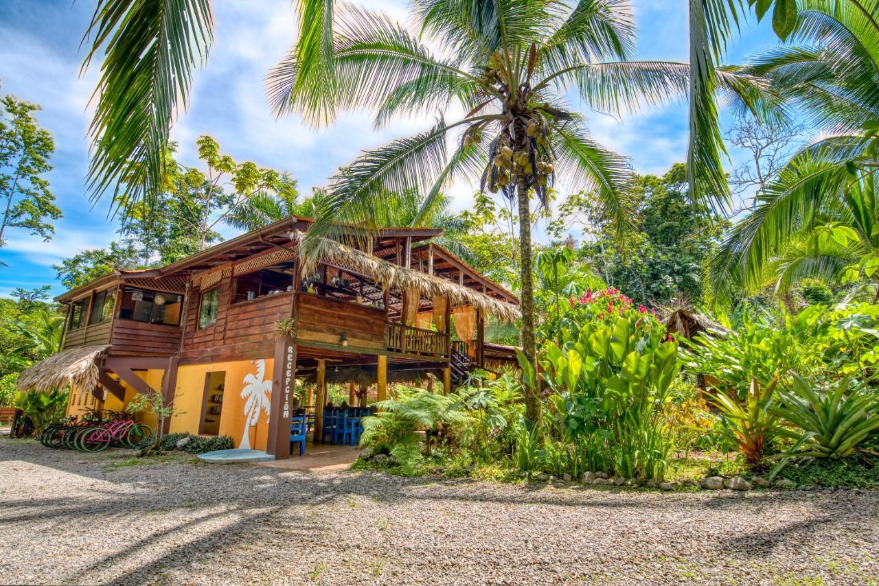 Caribe Town Lodge