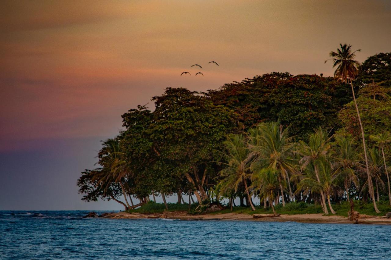Caribe Town *