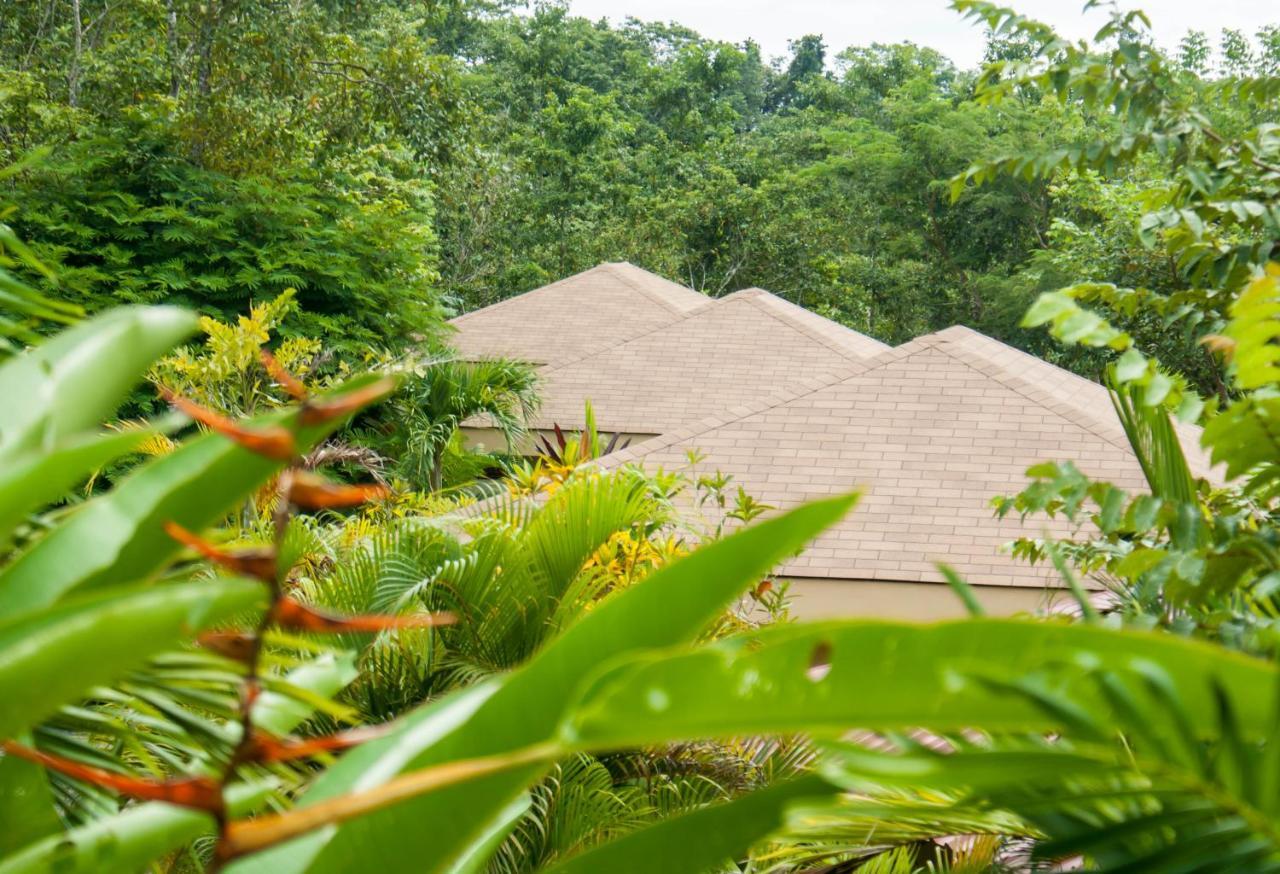 Bed & Breakfast Margouillat Tambor (Puntarenas)