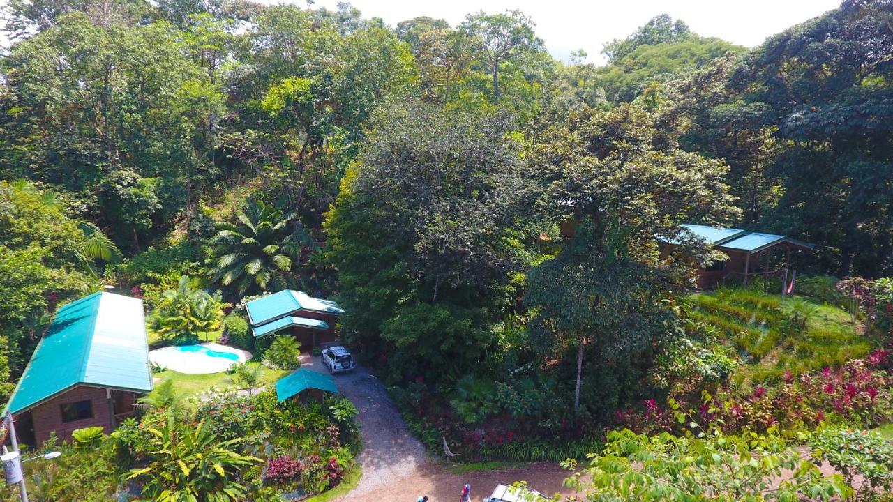 Forest Lodge