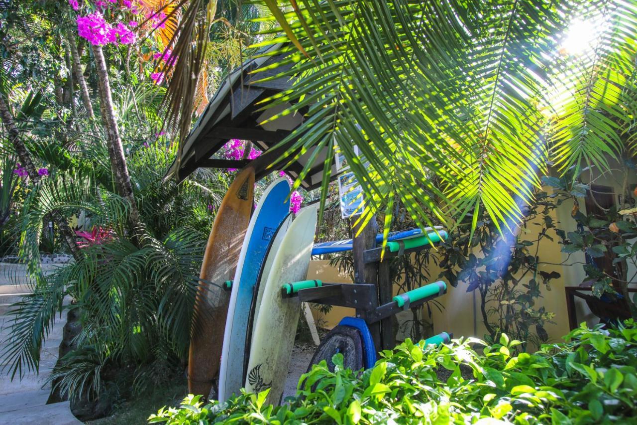 Oasis Mal Pais Nicoya