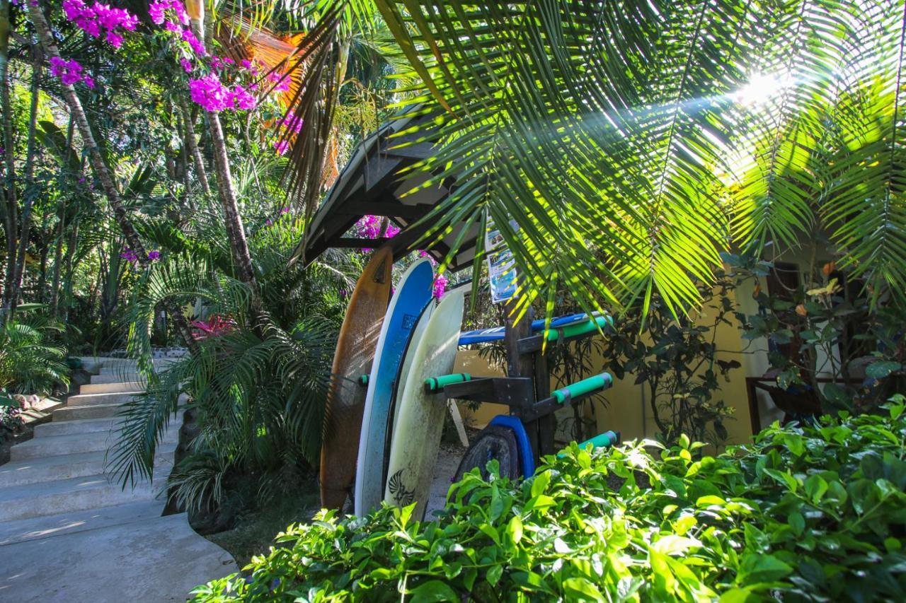 Oasis Mal Pais