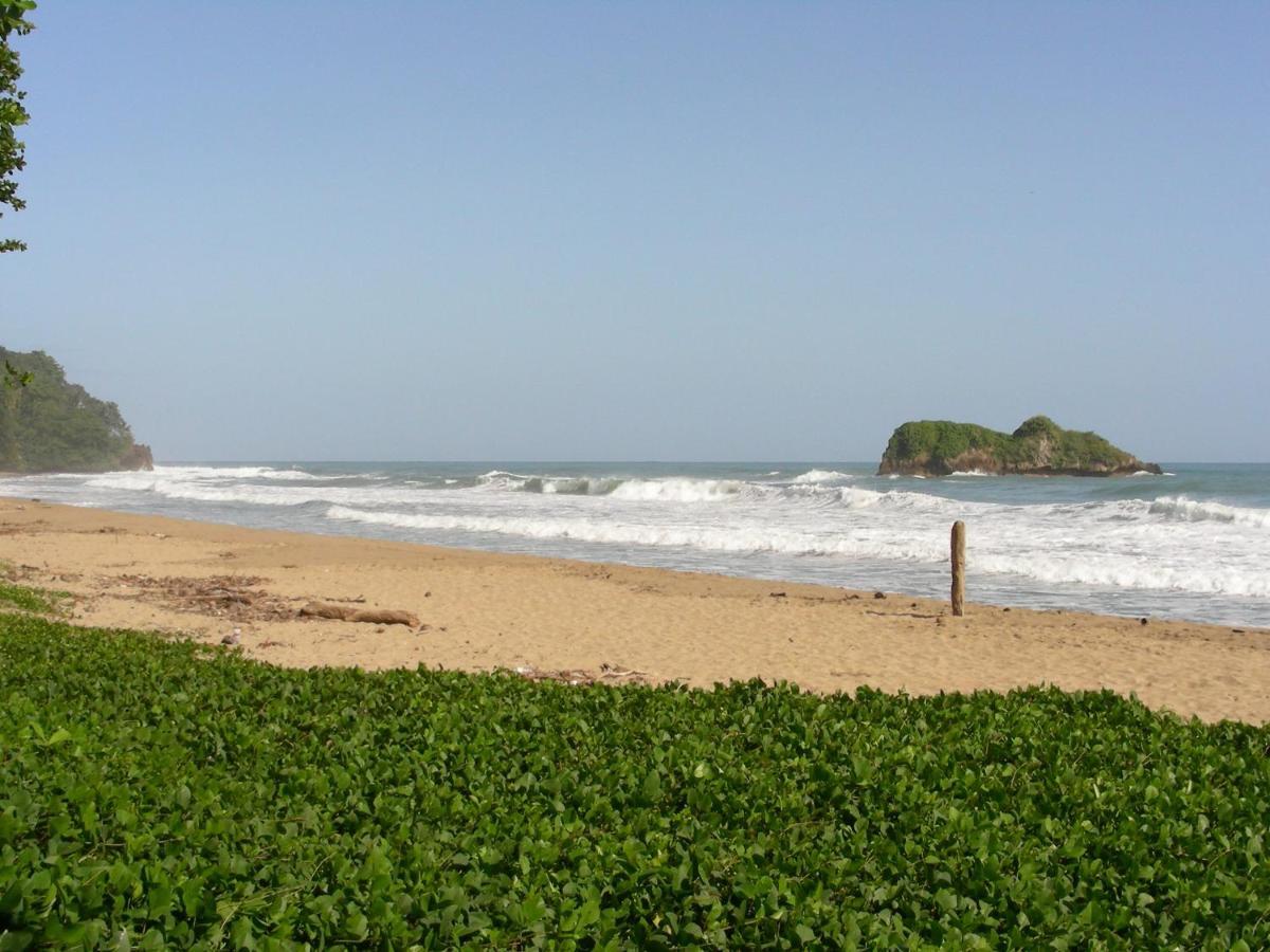 Hotel Casa Conley Del Mar 4*