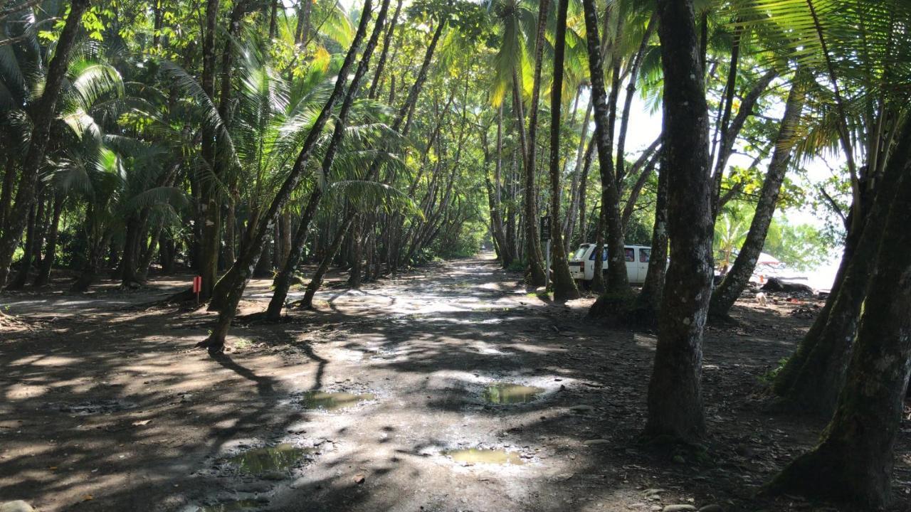 Oasis Retreat With And Holiday home