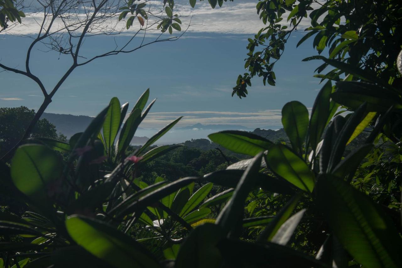Bed & Breakfast Margouillat Tambor (Puntarenas)