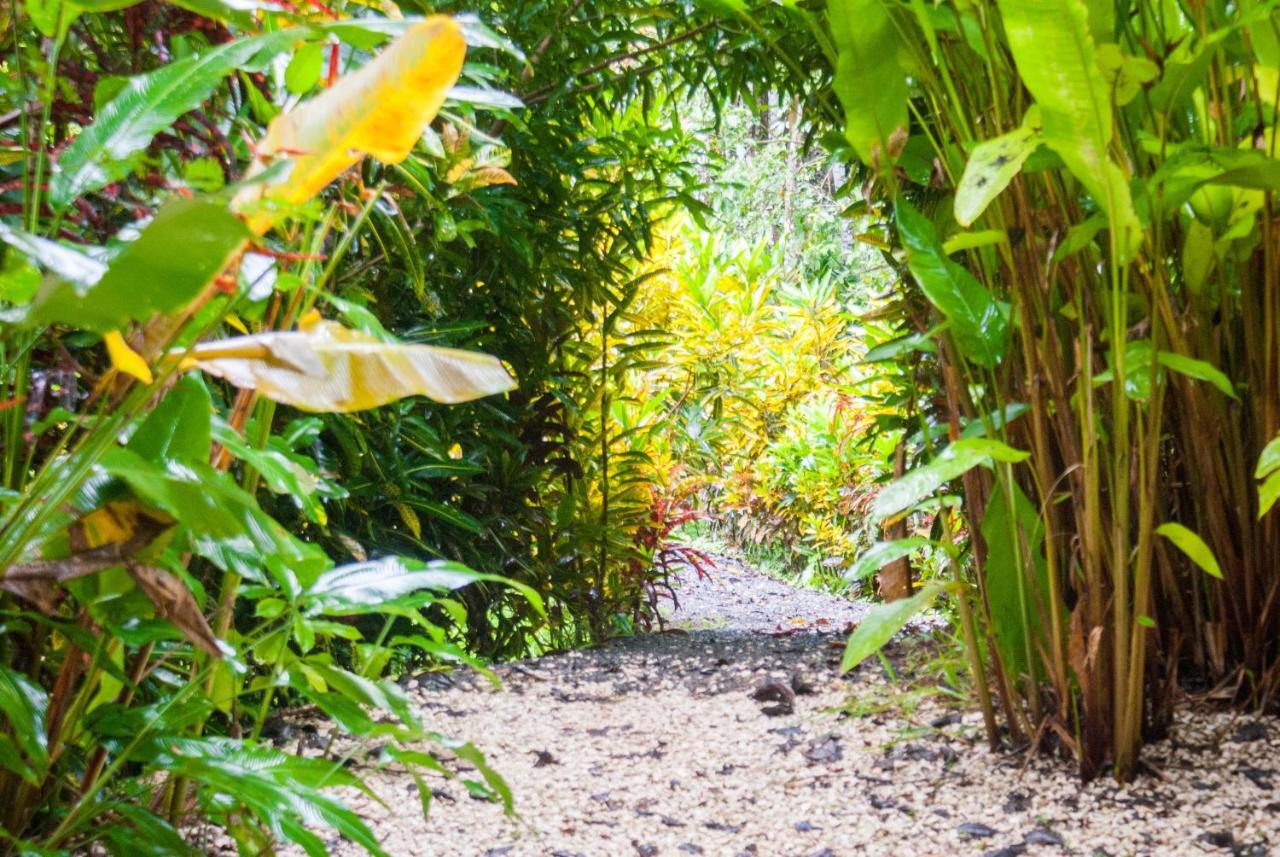 Margouillat Bed & Breakfast Tambor (Puntarenas)