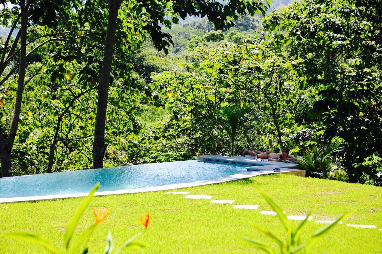 Jungle At Wild Sun Rescue Center 2*