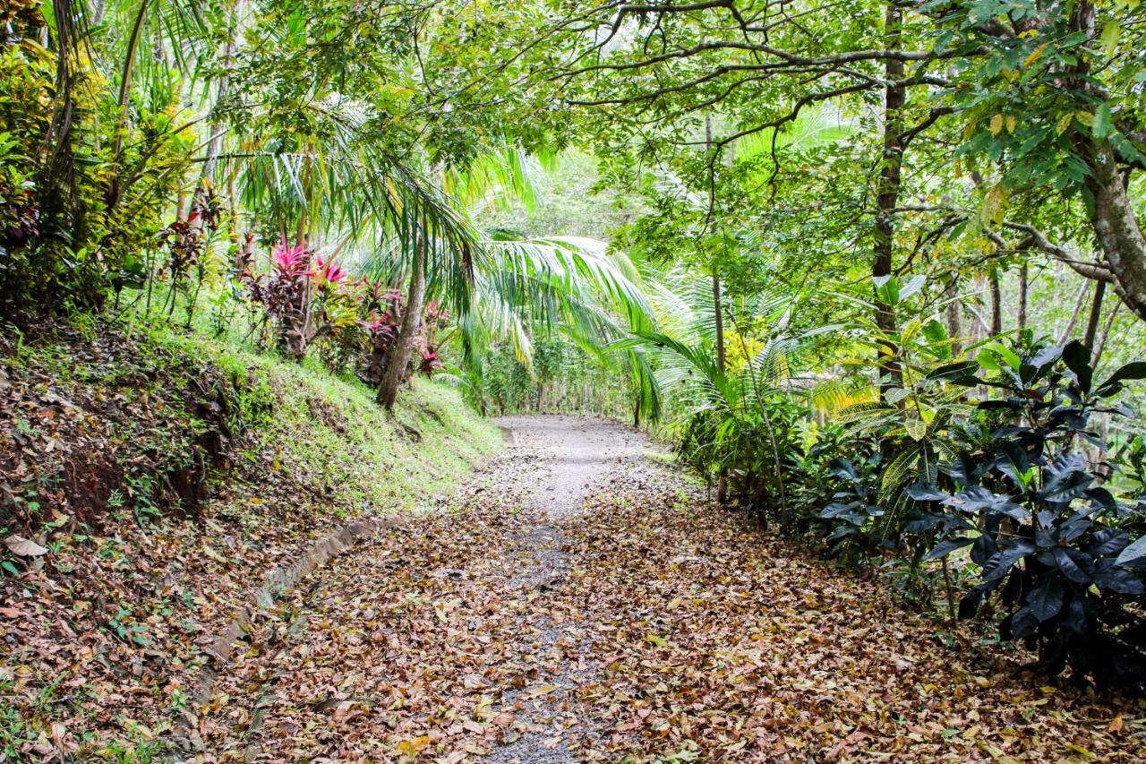 Bed & Breakfast Margouillat Tambor (Puntarenas)