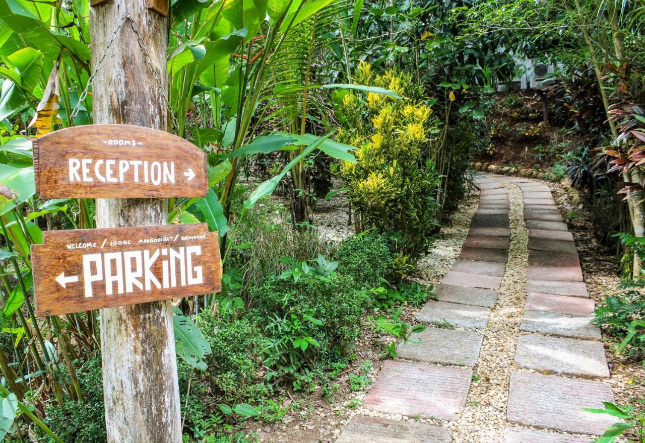 Margouillat Bed & Breakfast Tambor (Puntarenas)