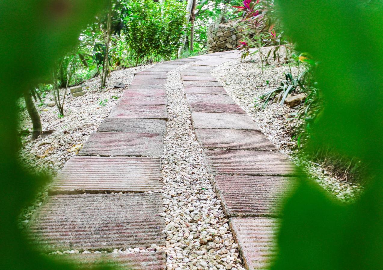 Bed & Breakfast Margouillat Tambor (Puntarenas)