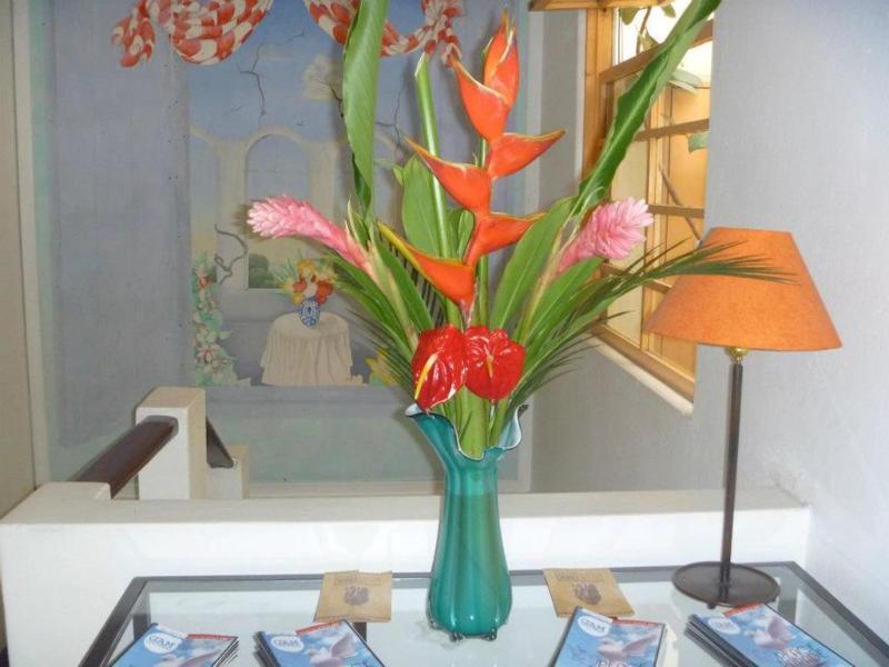 Bed & Breakfast Kekoldi San Jose (San Jose)