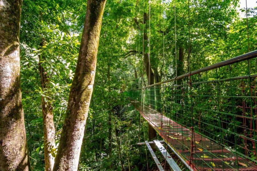 Resort Lapas Jungle Village 3*