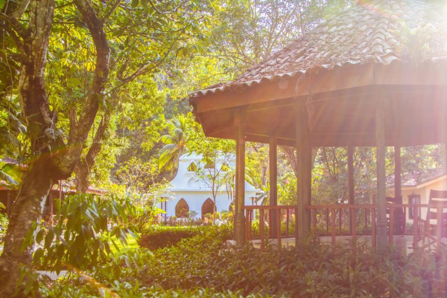 Lapas Jungle Village Resort Tarcoles