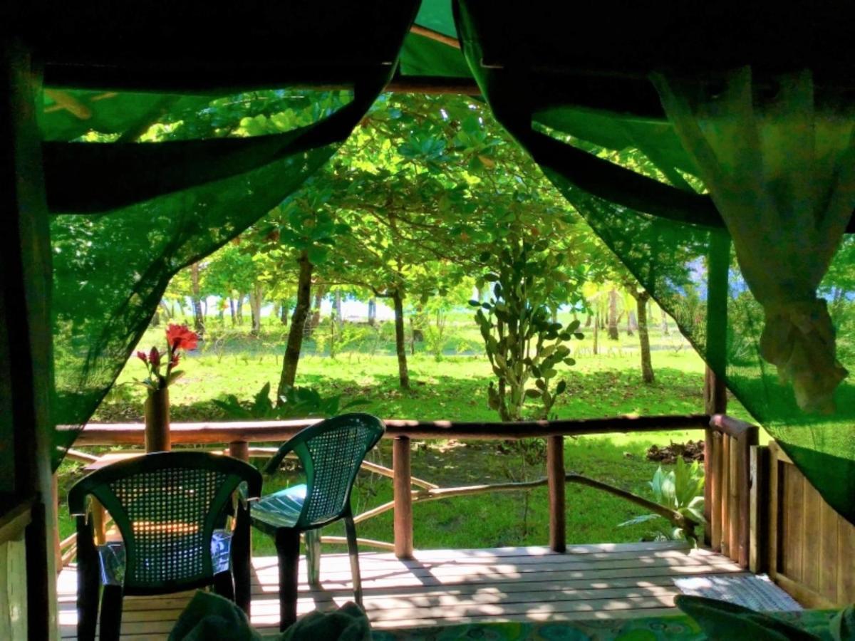 Waleskas Place Bed & Breakfast Puerto Jimenez