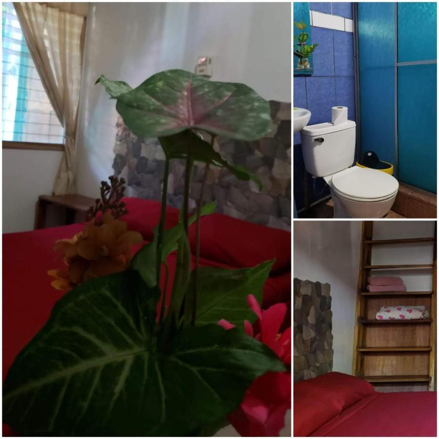 Hostel Cecilia Puerto Viejo de Talamanca