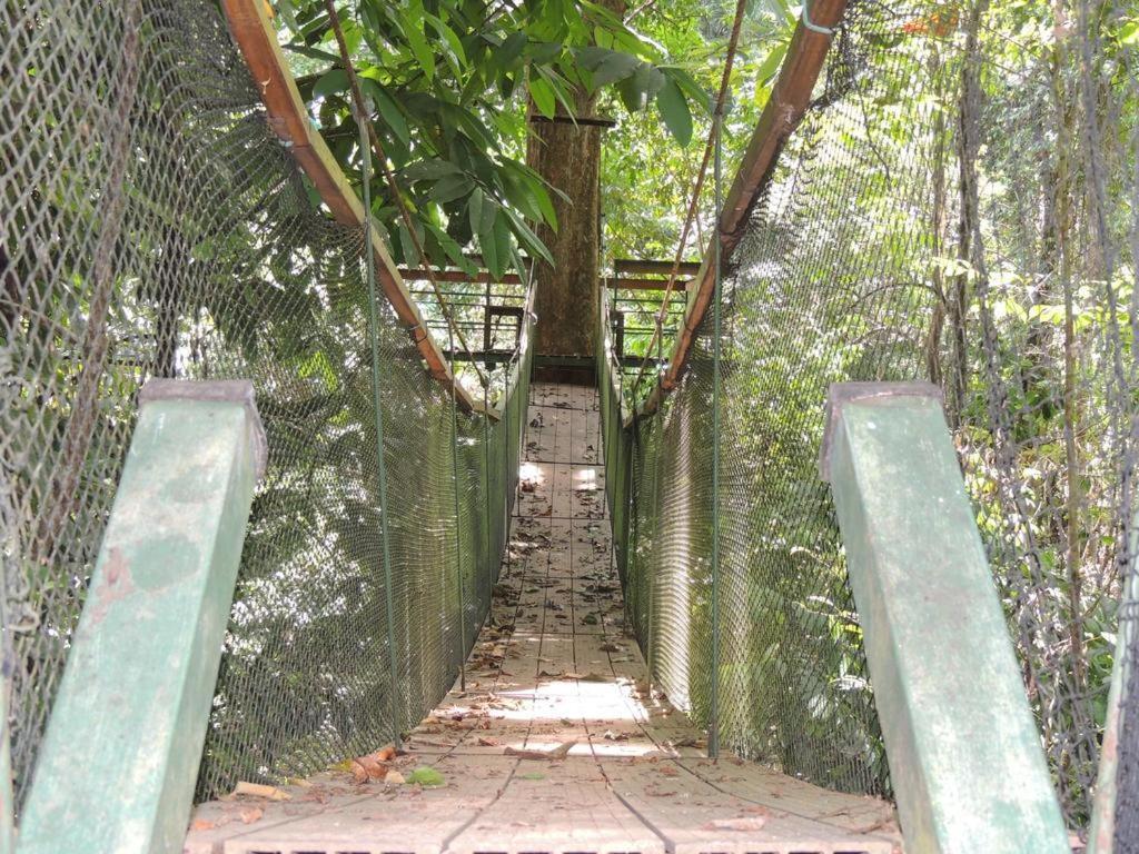 Corcovado Adventures Hostel