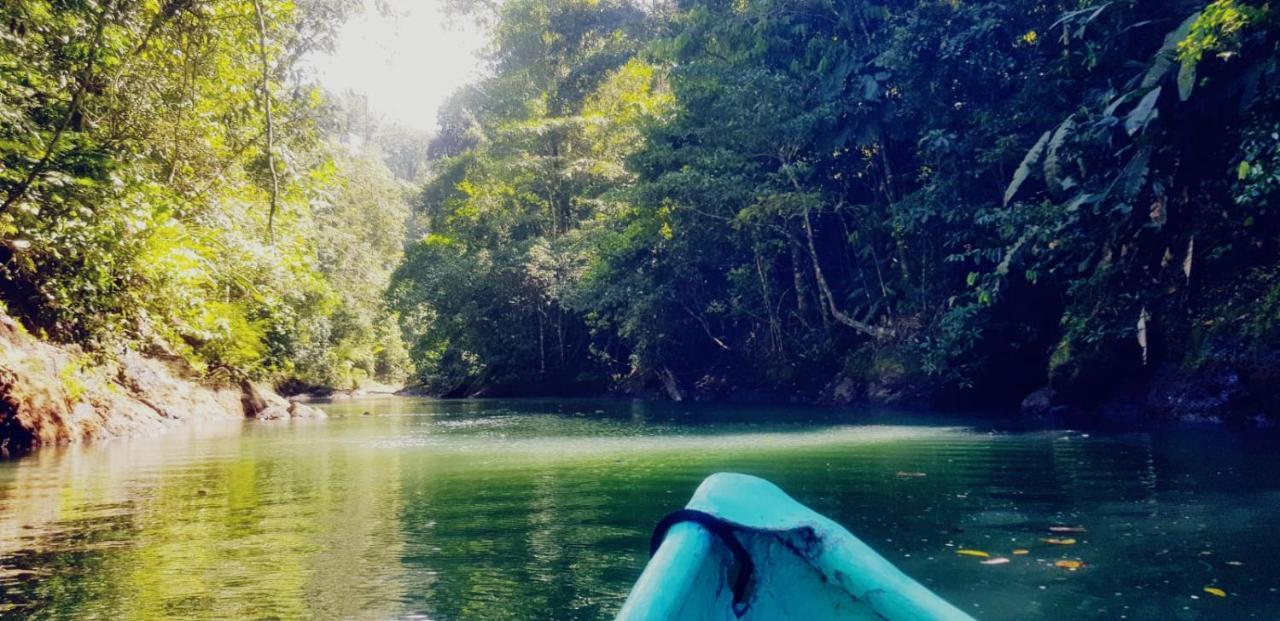 Corcovado Adventures *