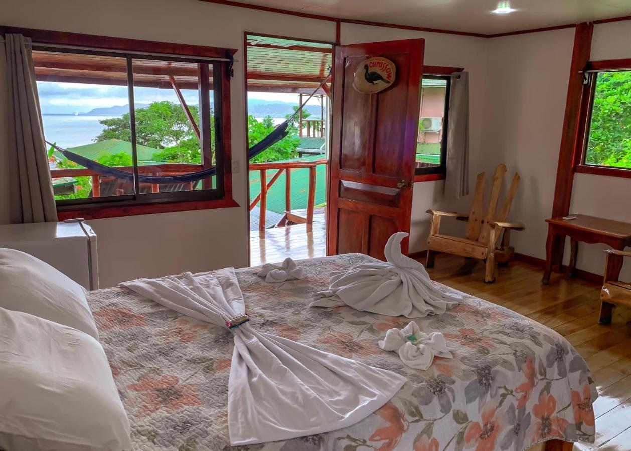 Cotingas Ocean View * Drake Bay