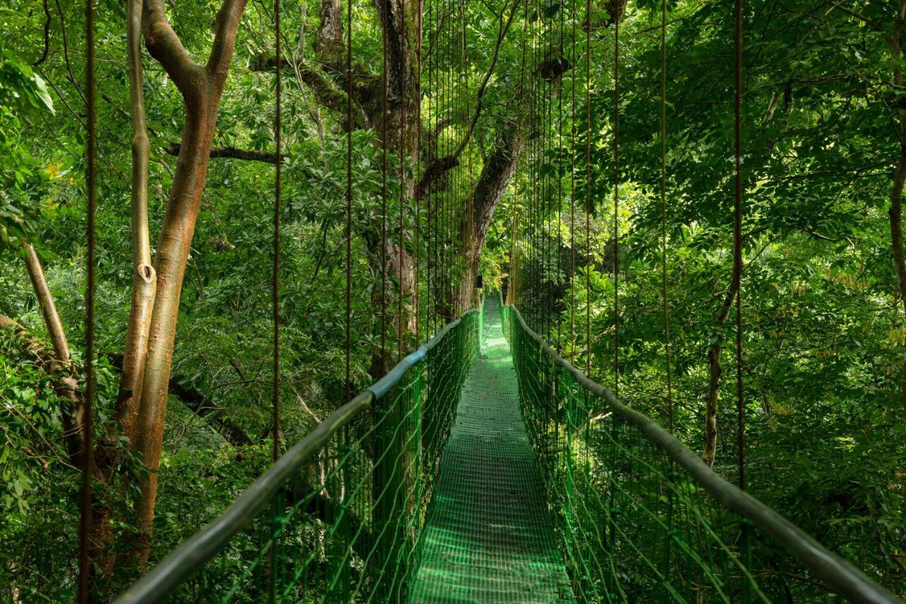 Lapas Jungle Village 3* Tarcoles