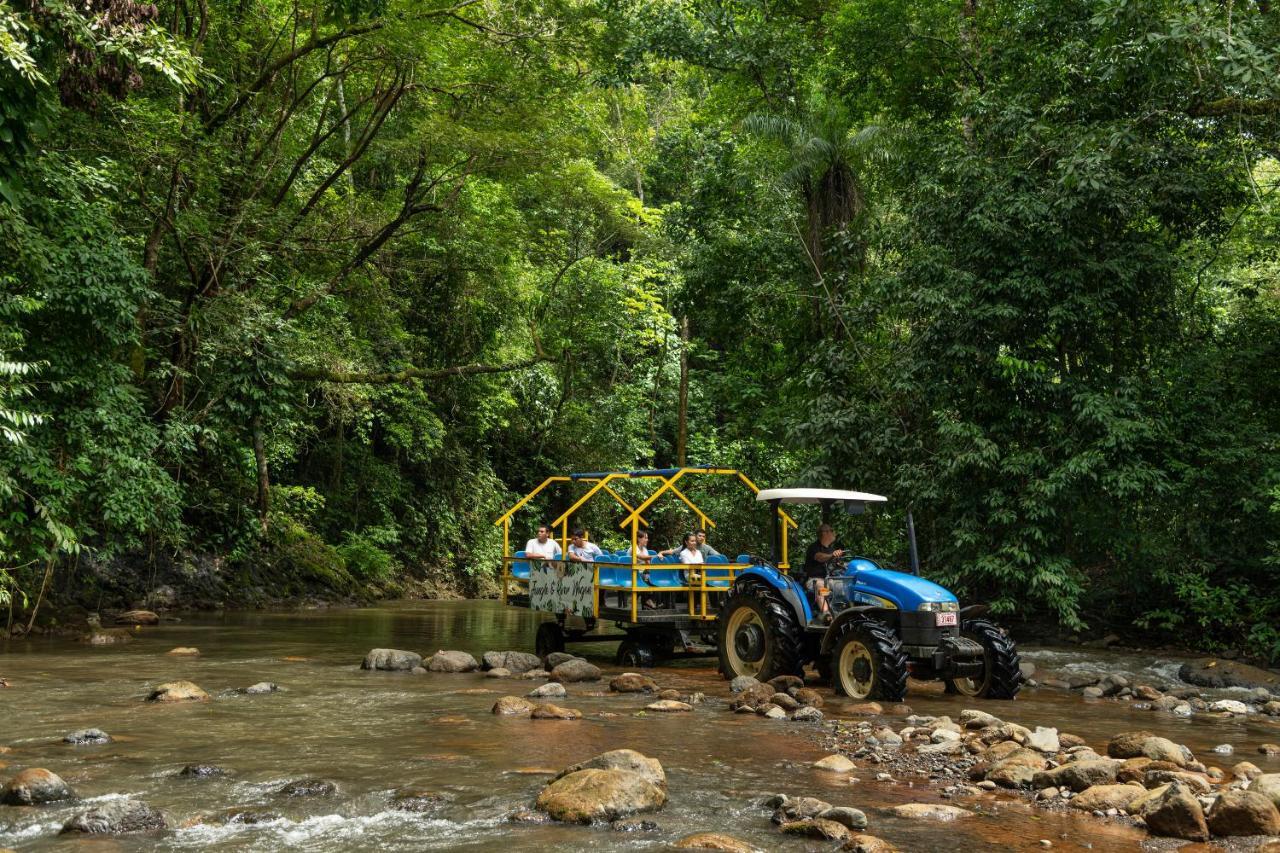 Lapas Jungle Village Tarcoles