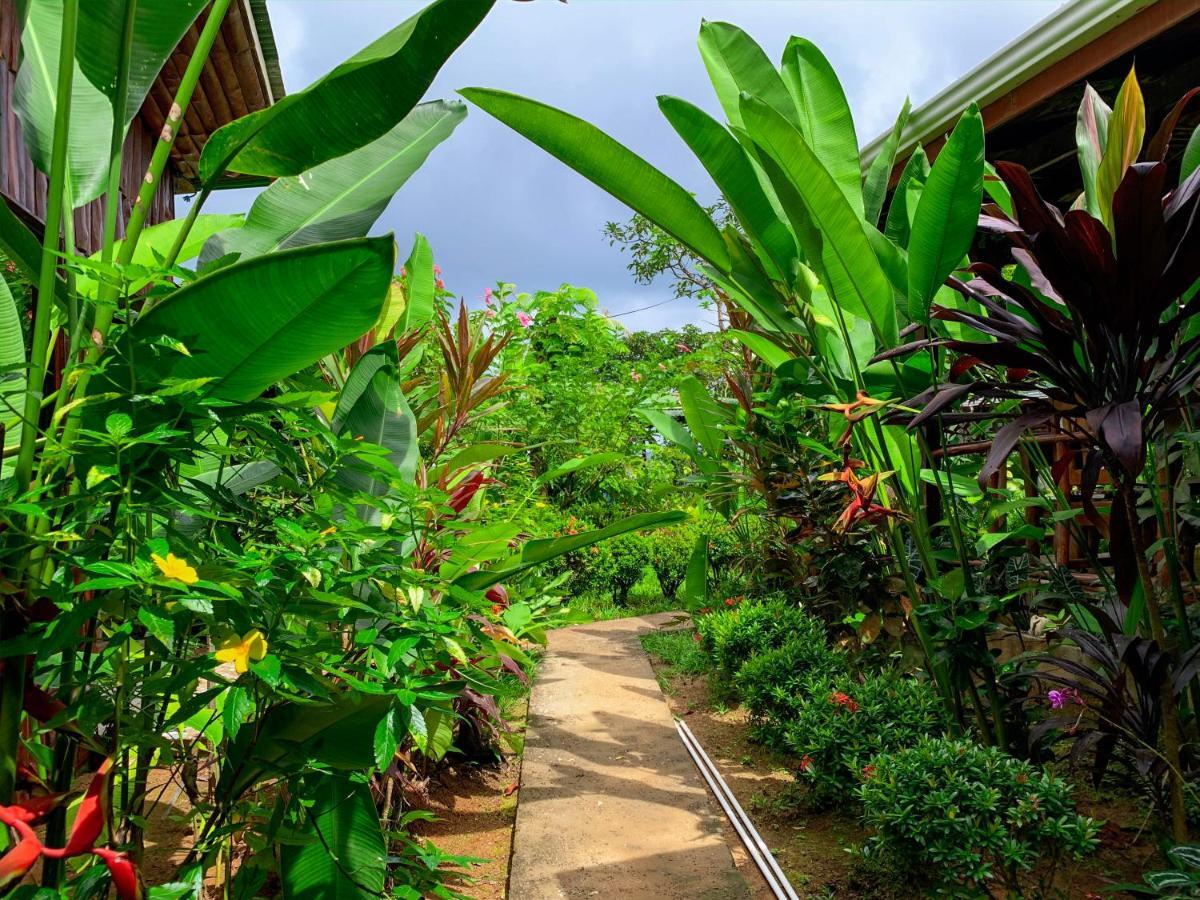 Cotingas Ocean View Lodge *