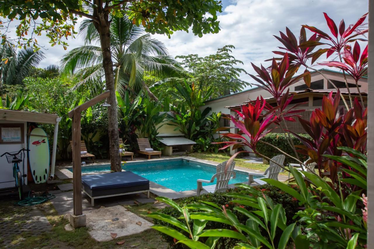 Maoritsio Garden 2*