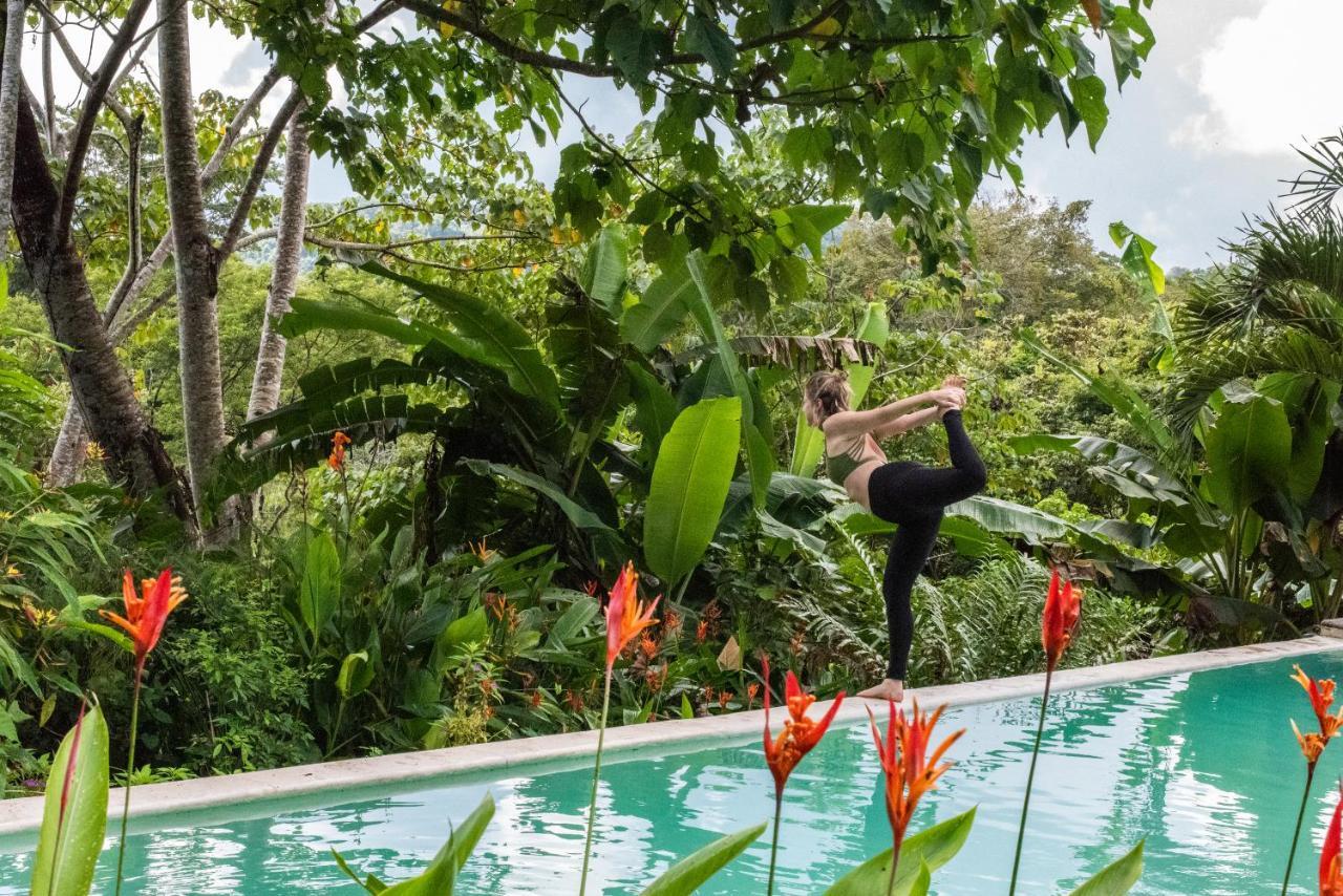 Jungle At Wild Sun Rescue Center 2*