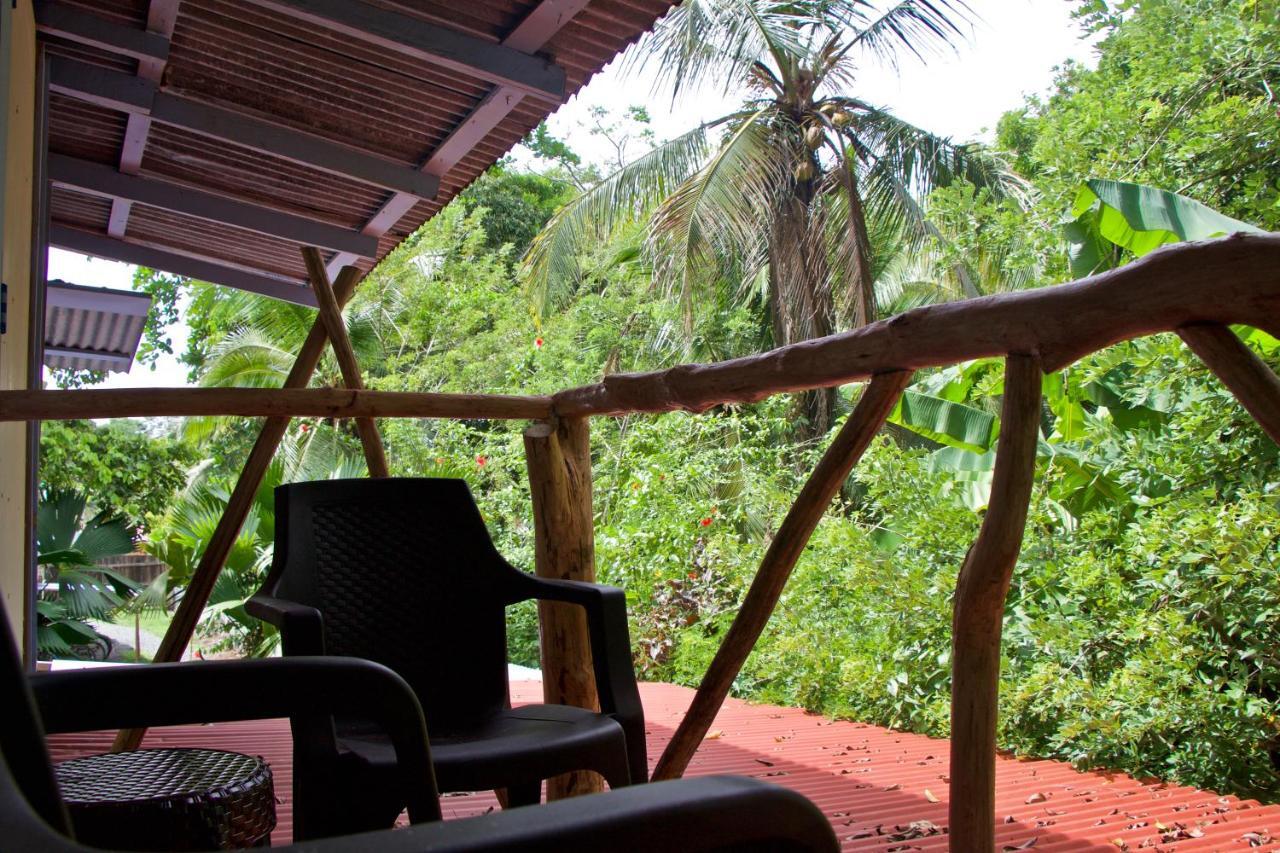 Homestay Hidden Jungle House