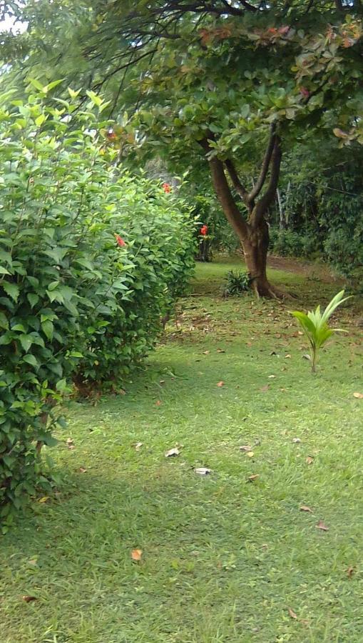 Guest house Soul Fire Casitas