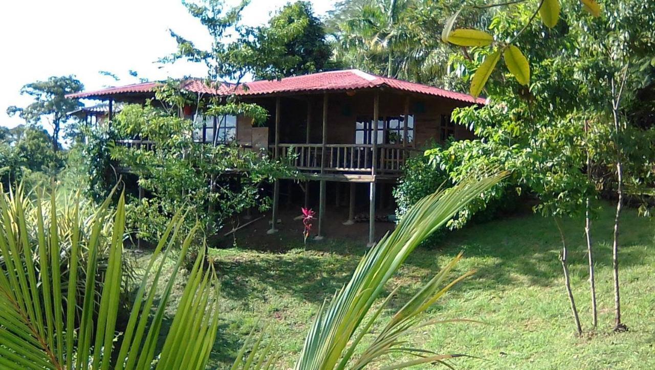 Guest house Soul Fire Casitas Montezuma