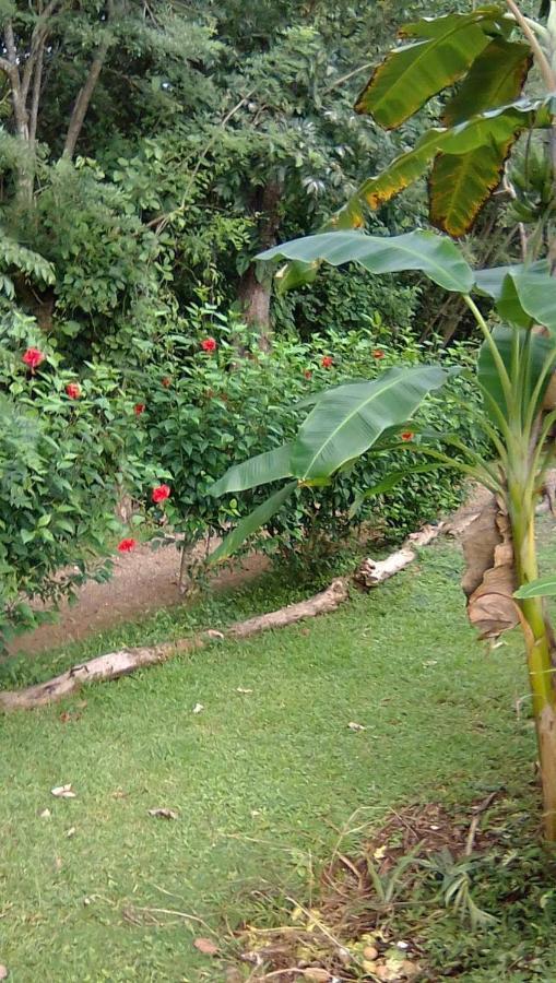 Soul Fire Casitas Guest house Montezuma
