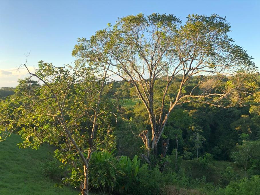 Guest house Soul Fire Casitas Montezuma