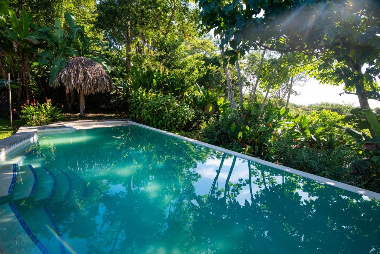 Jungle At Wild Sun Rescue Center 2* Cabuya (Puntarenas)