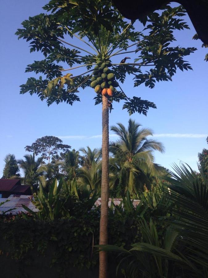 One Puerto Viejo