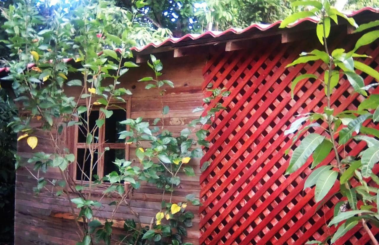 Soul Fire Casitas Guest house Montezuma
