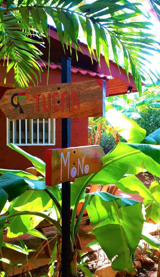 Guest house Casa Mapache