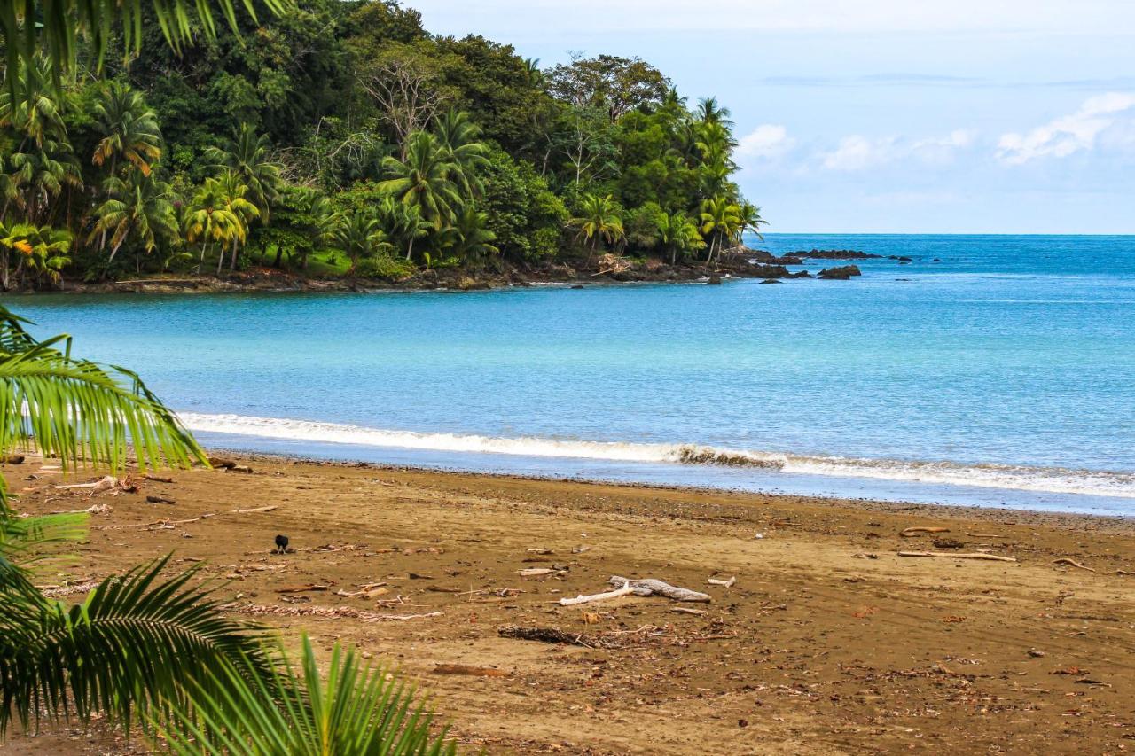 Cotingas Ocean View *