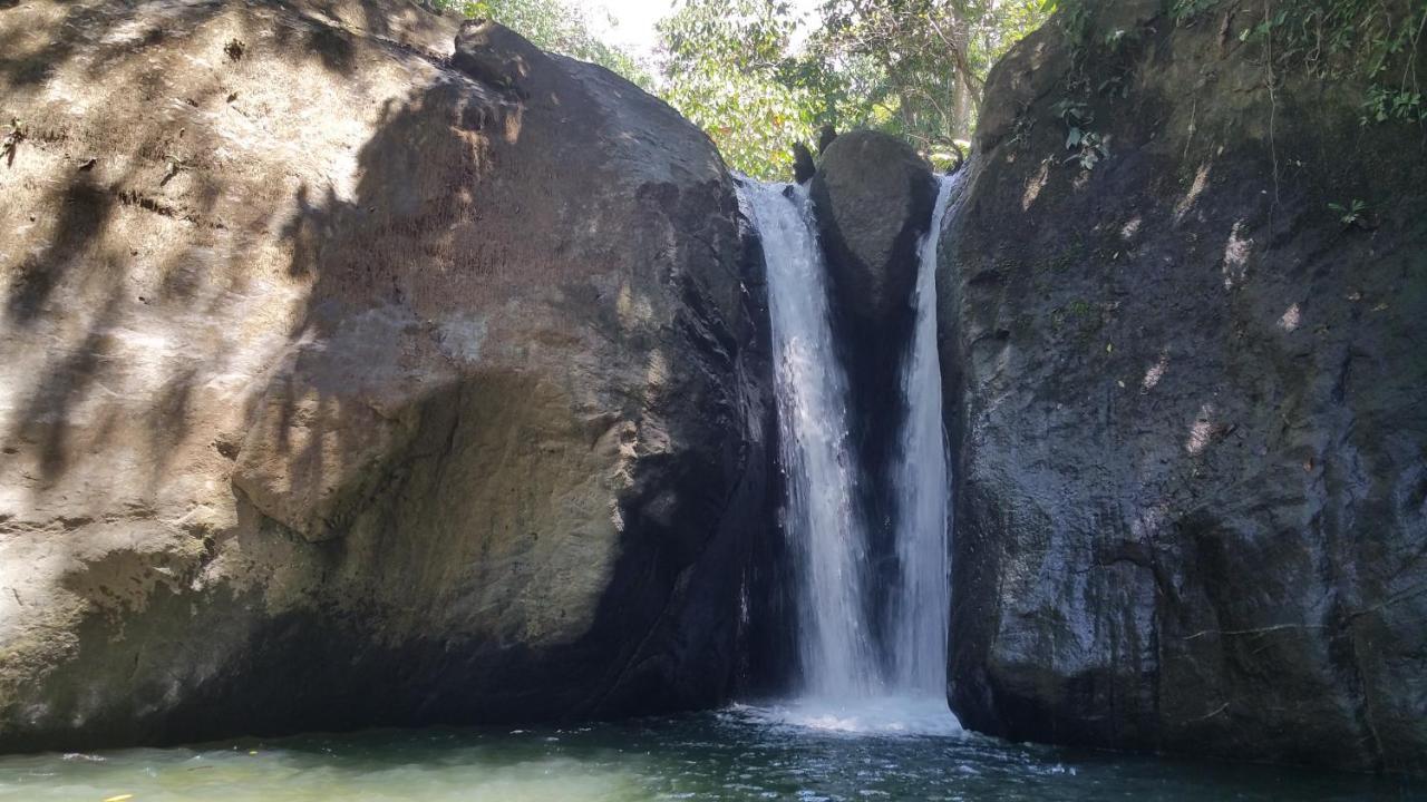 Osa De Rio Uvita