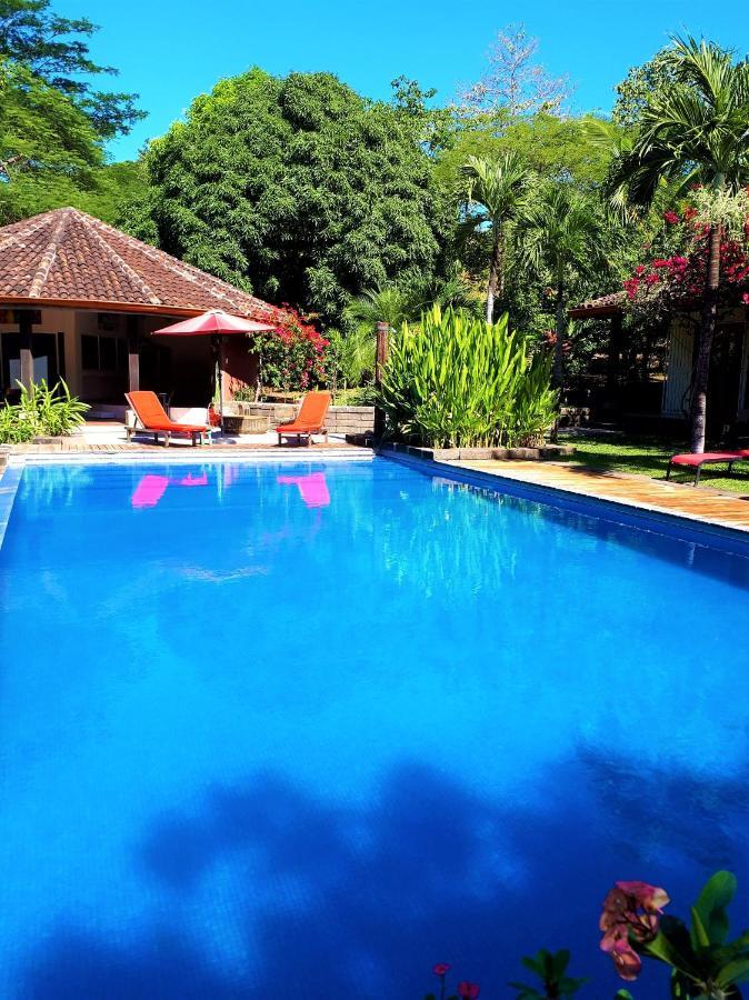 Guest house Casa Mapache